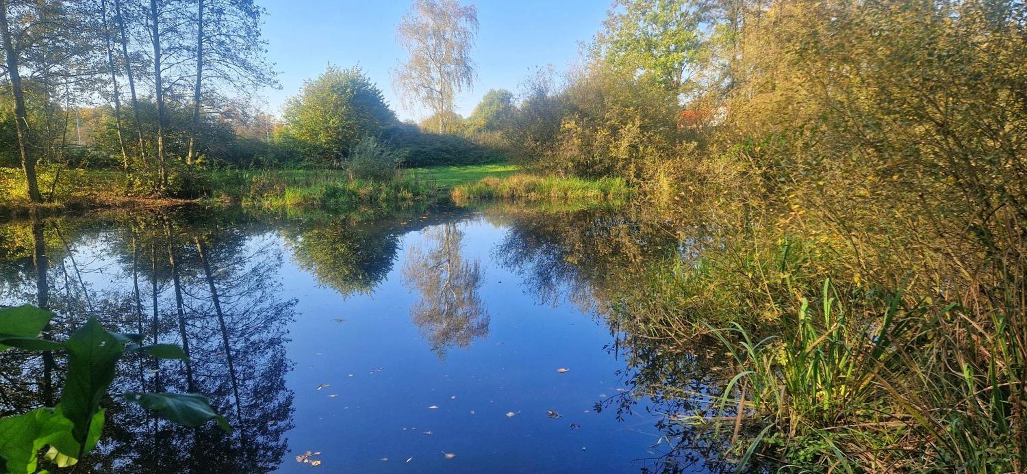 Ferienwohnung Landlicht Mit Terrasse In Ruhiger Lage Sulingen Bagian luar foto